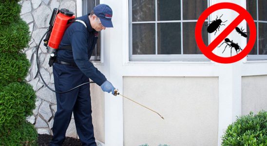 Datça Kemirgen İlaçlama böcek ilaçlama ve haşere kontrolü — ilaclama-tr.com